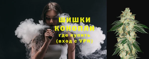 мдпв Медногорск