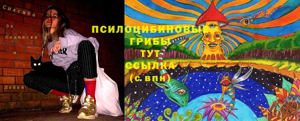 мдпв Медногорск