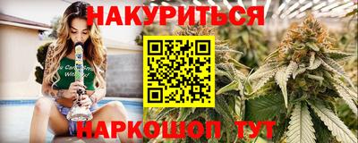 крисы Будённовск