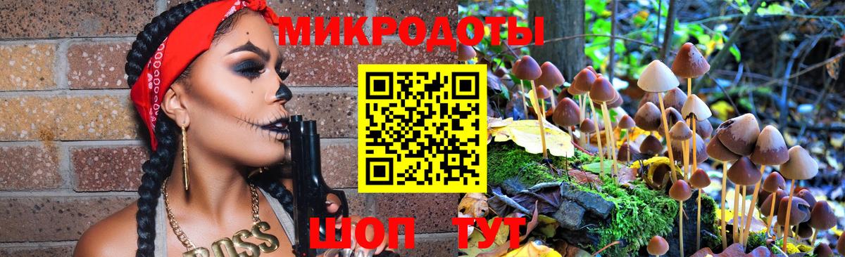 Борисоглебск  Галлюциногенные грибы Cubensis  Вход с VPN 