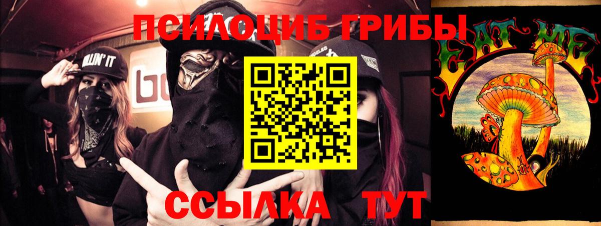 Галлюциногенные грибы Magic Shrooms  Псилоцибиновые грибы GOLDEN TEACHER  Борисоглебск 