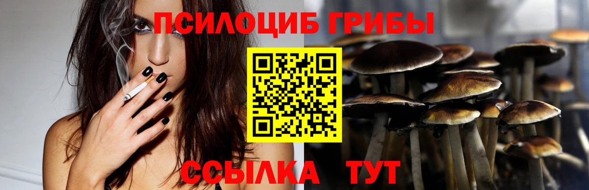 Псилоцибиновые грибы Psilocybine cubensis Борисоглебск